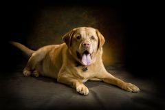 1_Ian-Robinson-Photography-Studio-Family-Photographers-Childrens-Photographer-019