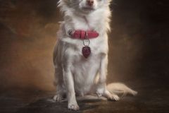 Ian-Robinson-Photography-Studio-Family-Photographers-Childrens-Photographer-018